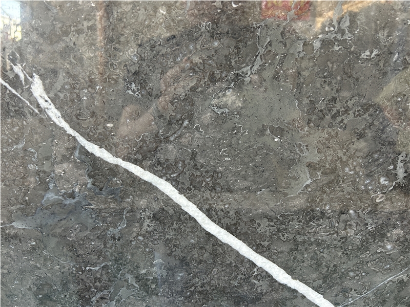 caronica-grey-marble-10023-title1-1-B.jpg