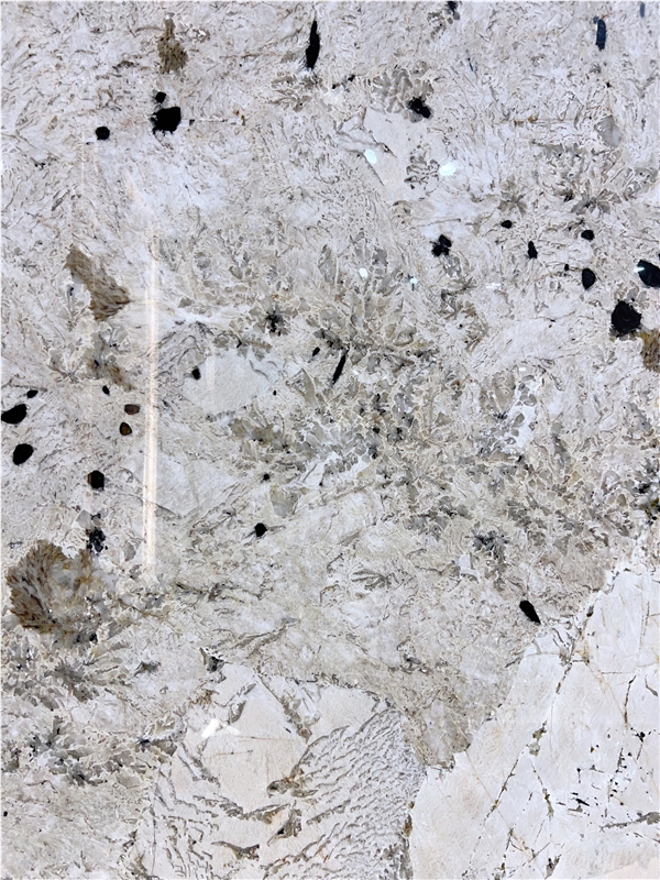 alpinus-granite-slabs-1083-m-0-B.jpg