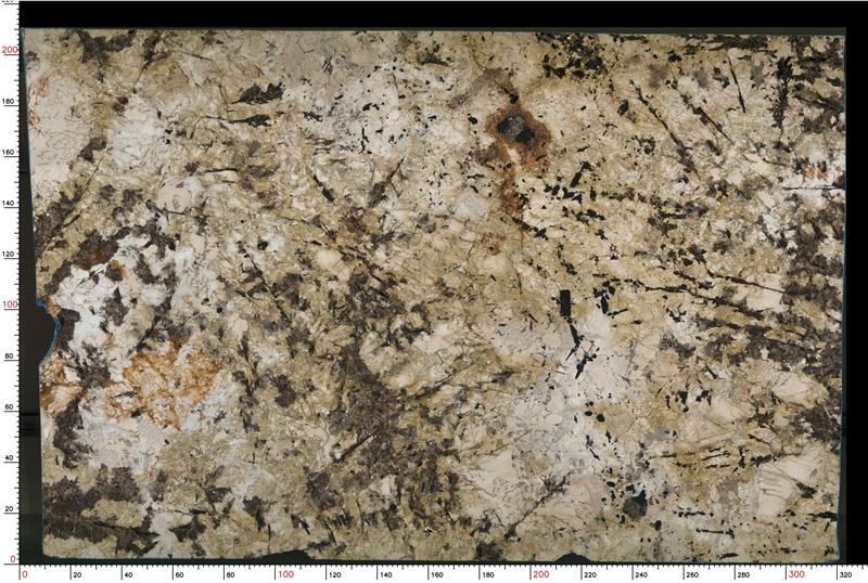 delicatus-white-granite-slabs-1069-m-2-B.jpg