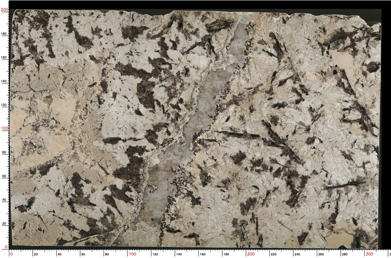 delicatus-white-granite-slabs-1070-m-2-B.jpg