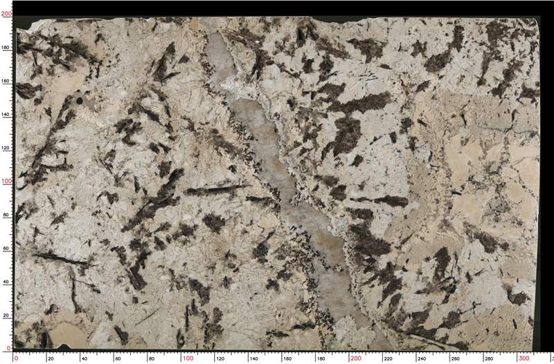 delicatus-white-granite-slabs-1070-m-3-B.jpg