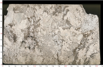 Pandora Granite Slabs