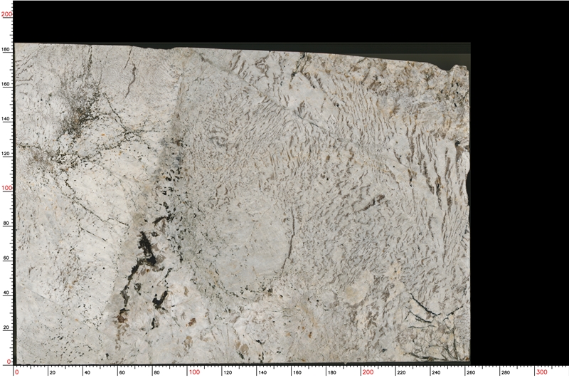 pandora-granite-slabs-1088-m-0-B.jpg