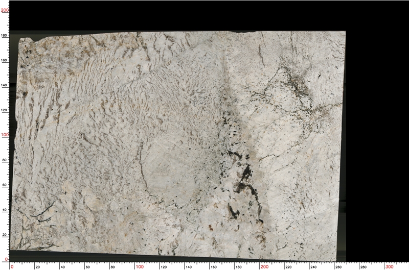 pandora-granite-slabs-1088-m-1-B.jpg