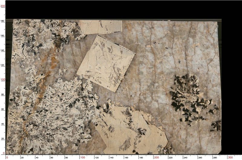 pandora-granite-slabs-1149-m-2-B.jpg