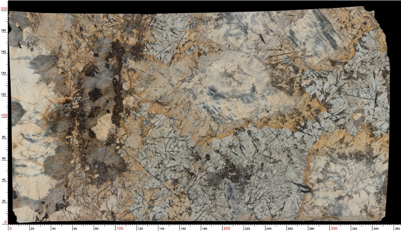 Butterfly Love Golden Flower Granite Slabs