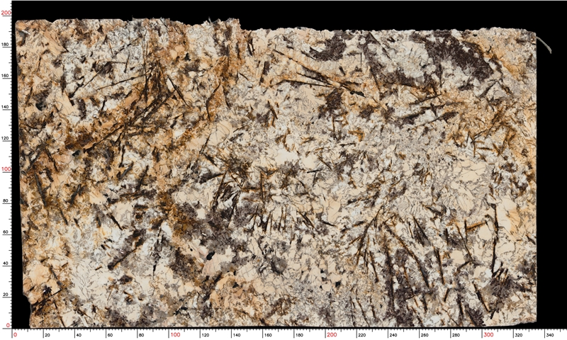 Delicatus White Granite Slabs