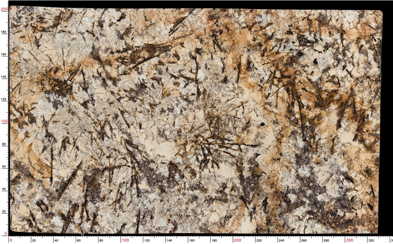 Delicatus White Granite Slabs