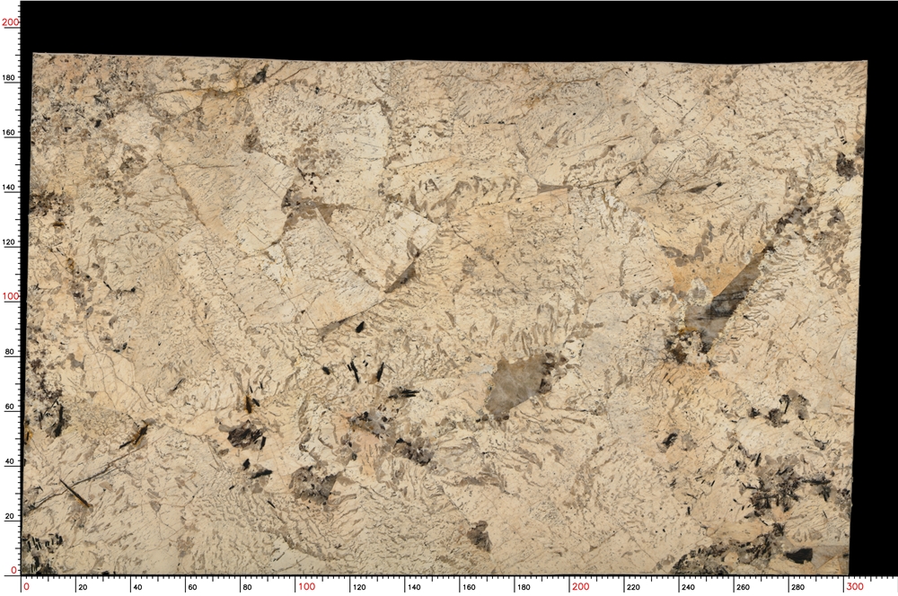 No.S05_M9370_1-1_041