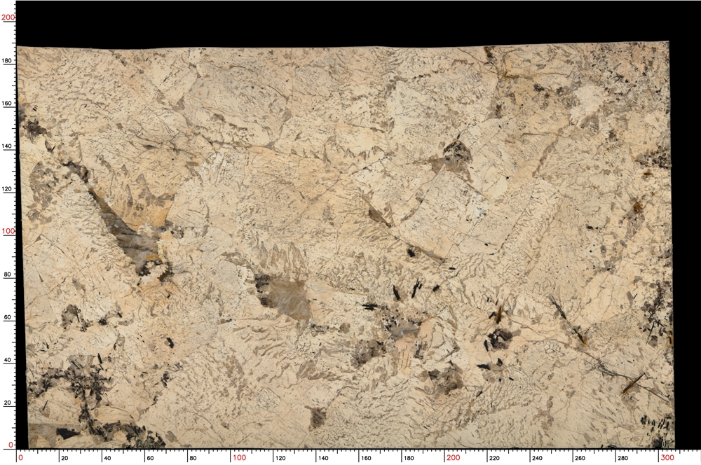 No.S05_M9370_1-1_042