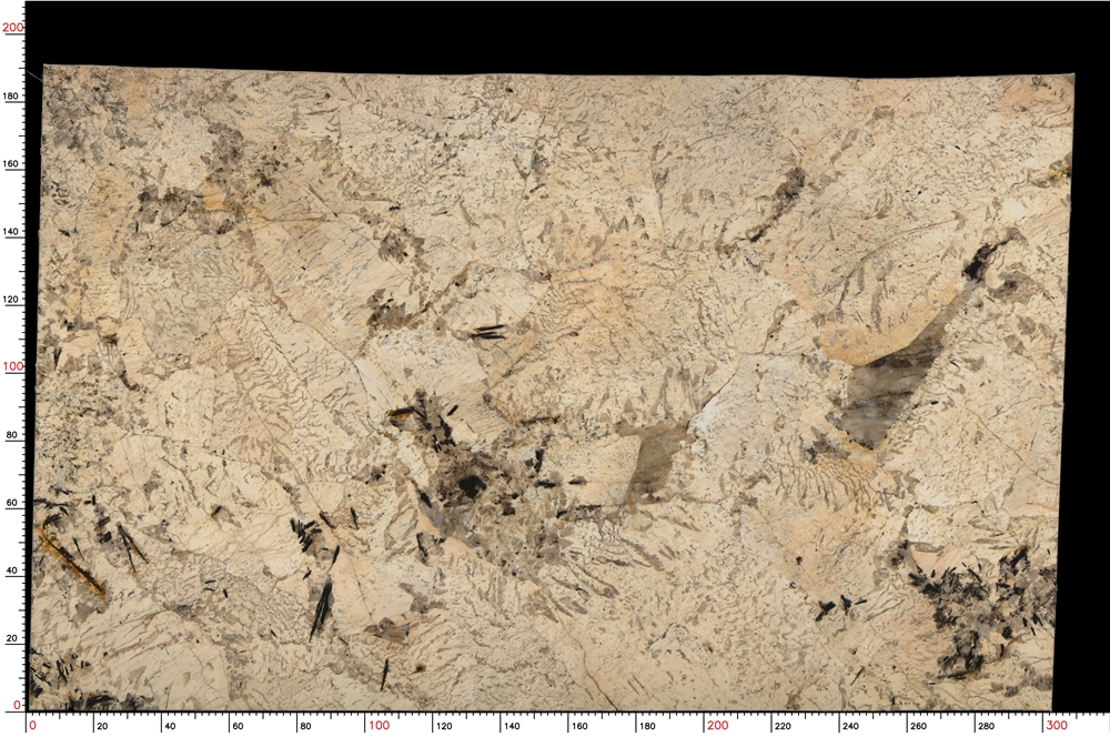 No.S05_M9370_1-1_045