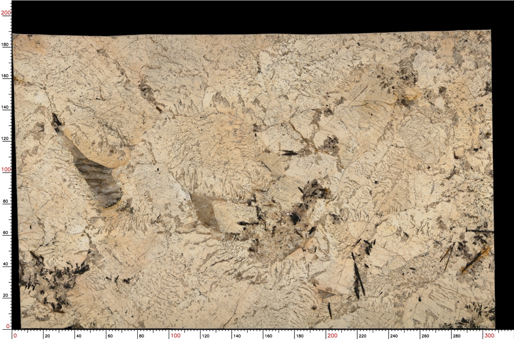 No.S05_M9370_1-1_046
