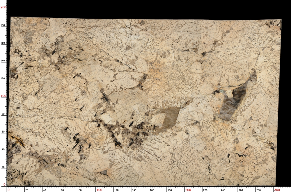 No.S05_M9370_1-1_049