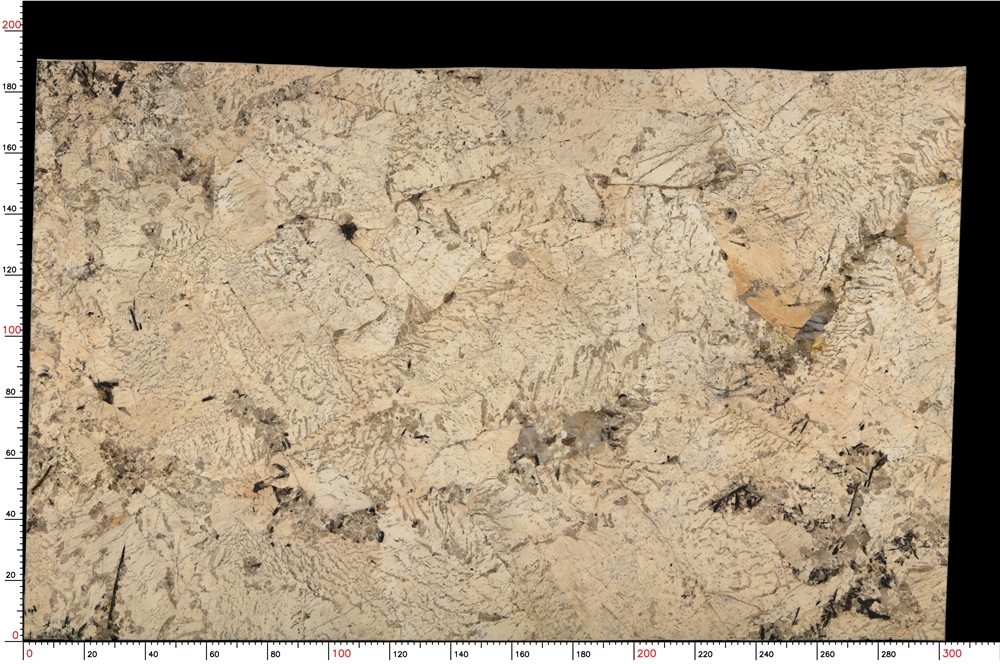 No.S05_M9370_1-1_037