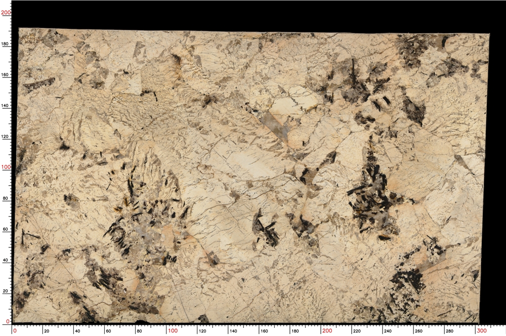 No.S05_M9370_1-1_059