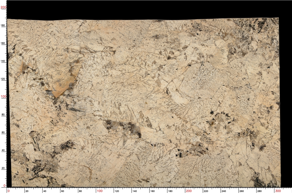 No.S05_M9370_1-1_036