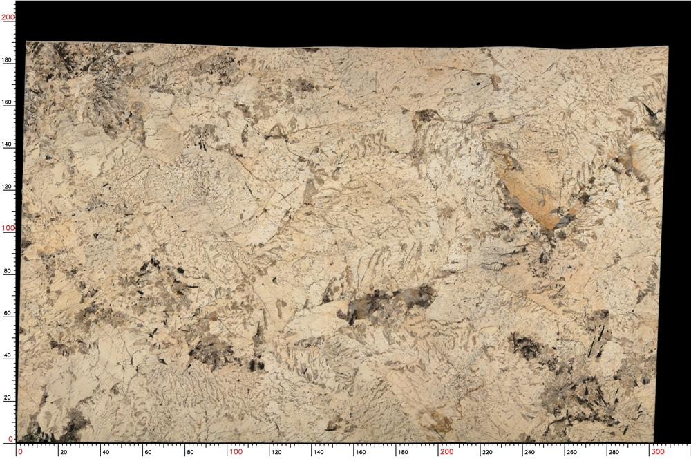 No.S05_M9370_1-1_035