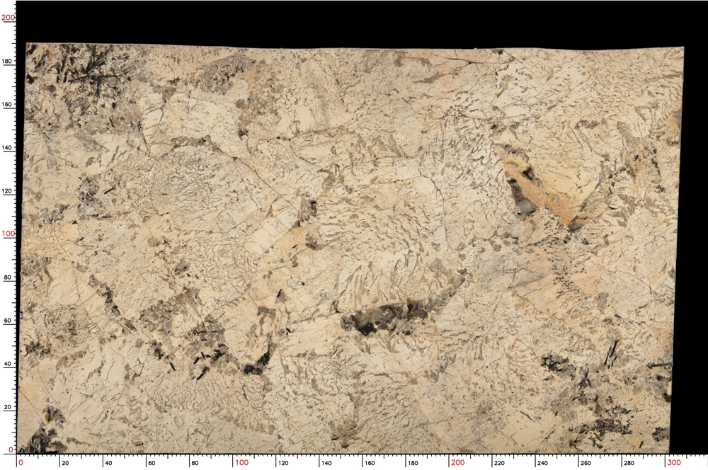 No.S05_M9370_1-1_033