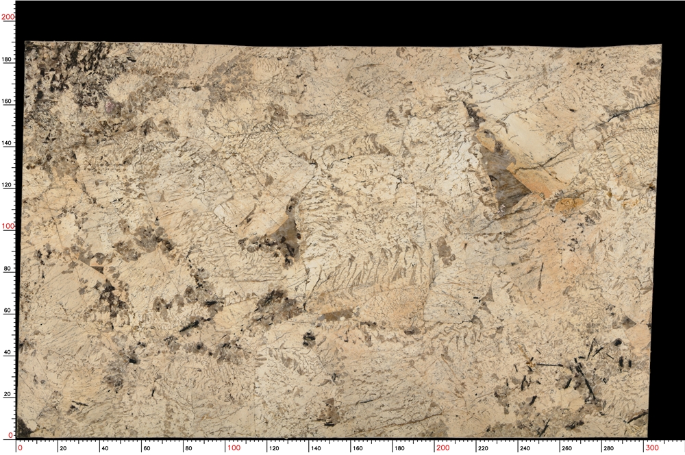 No.S05_M9370_1-1_029