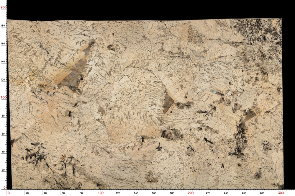 No.S05_M9370_1-1_028