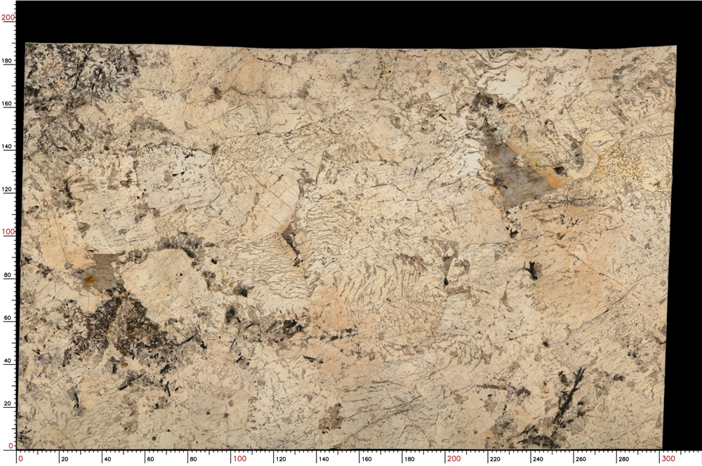 No.S05_M9370_1-1_025
