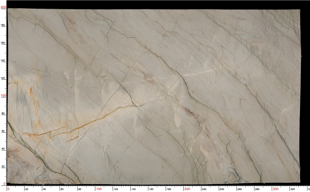 Picasso Silver Quartzite Slabs - M9353