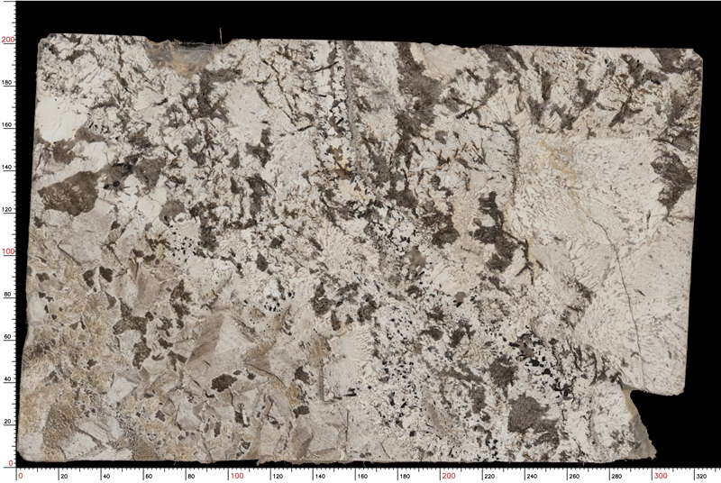 Silver Fox Granite Slabs