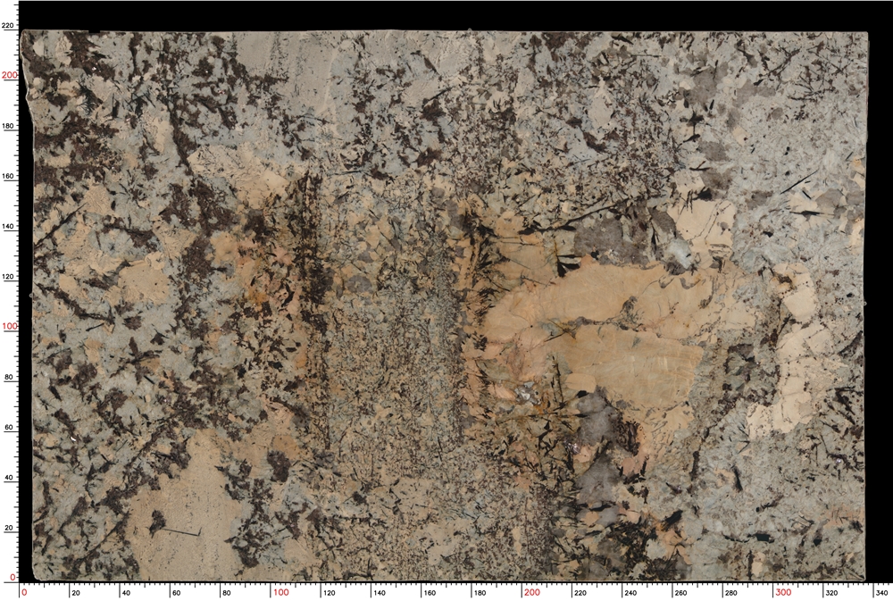 Splendor White Granite Slabs - M9062