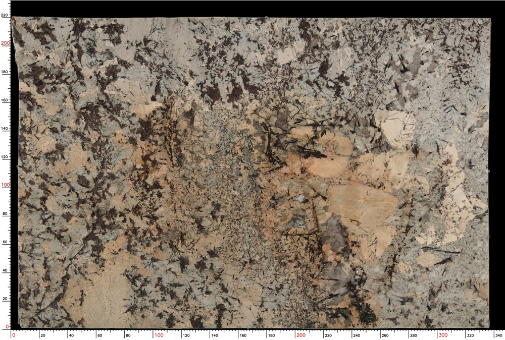 Splendor White Granite Slabs - M9062