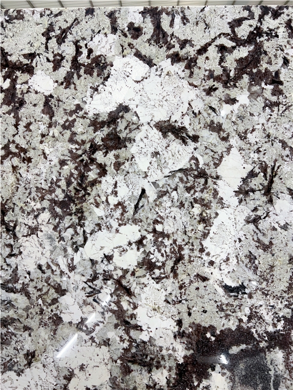 Splendor White Granite Slabs