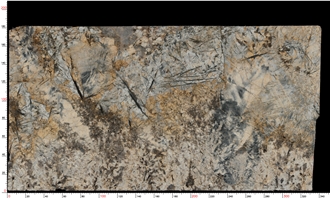 Butterfly Love Golden Flower Granite Slabs