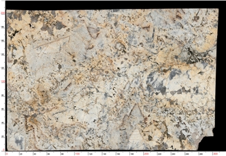 Butterfly Love Golden Flower Granite Slabs