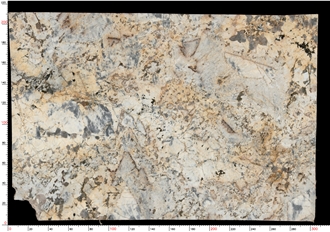 Butterfly Love Golden Flower Granite Slabs