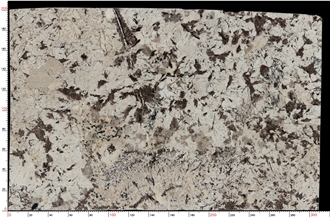 Delicatus White Granite Slabs