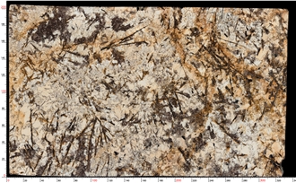 Delicatus White Granite Slabs