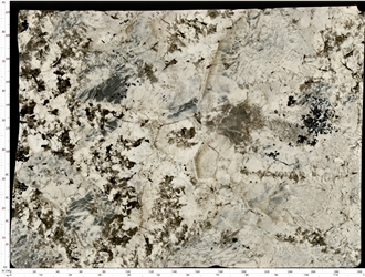 Silver Fox Granite Slabs