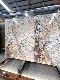 Butterfly Love Golden Flower Granite Slabs