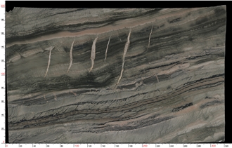 Misty Rain Quartzite Slabs