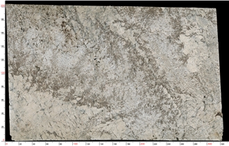 Pandora Granite Slabs