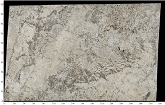 Pandora Granite Slabs