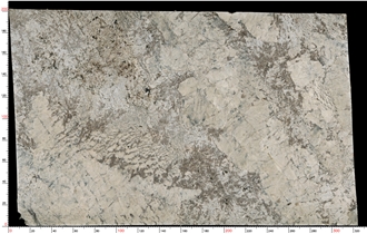 Pandora Granite Slabs