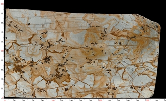Roman Impression Quartzite Slabs