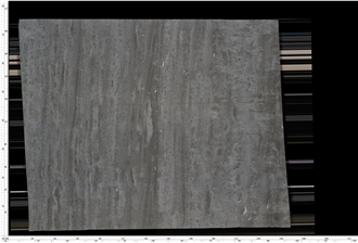 Naga Grey Marble Slabs